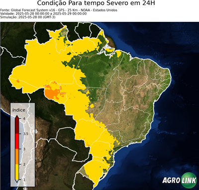 24 horas