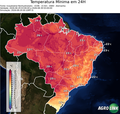 24 horas