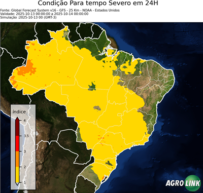 24 horas
