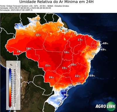 24 horas