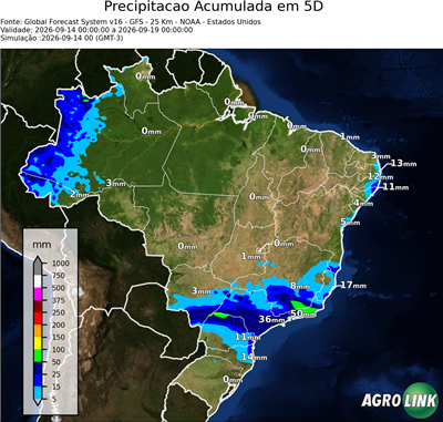 5 dias