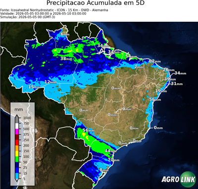 5 dias