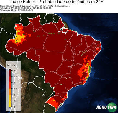 24 horas