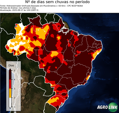 5 dias