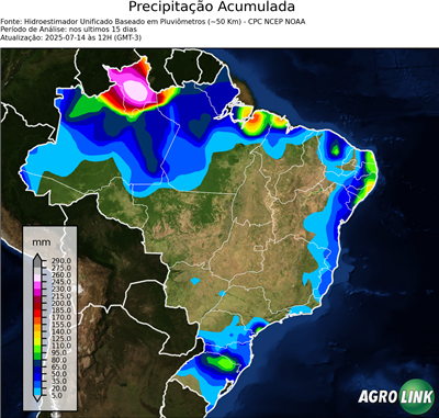 15 dias