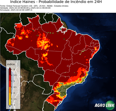 24 horas