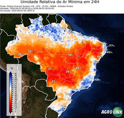 24 horas