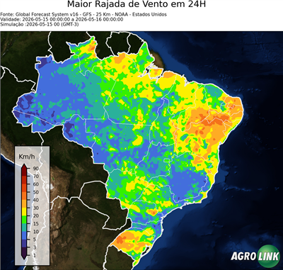 24 horas