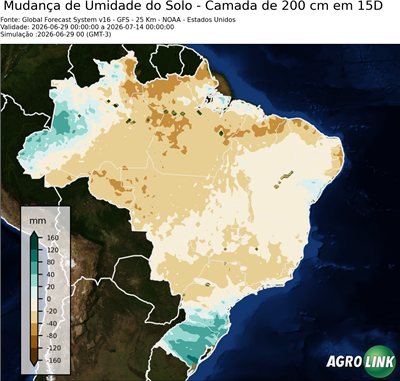 15 dias