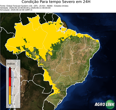 24 horas