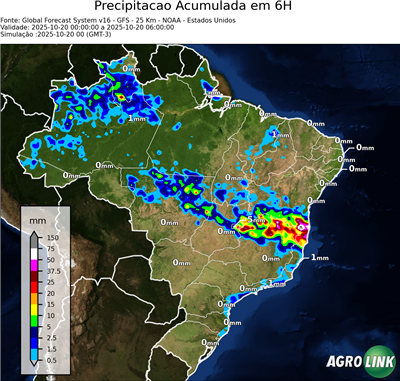 6 horas