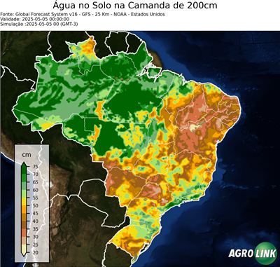 24 horas