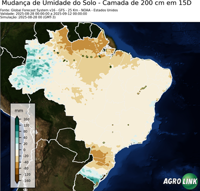 15 dias