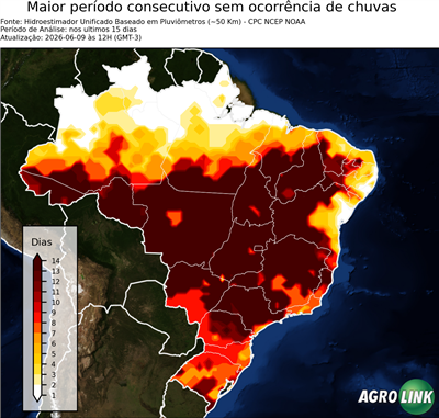 15 dias
