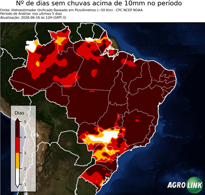 5 dias