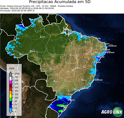 5 dias