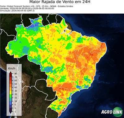 24 horas