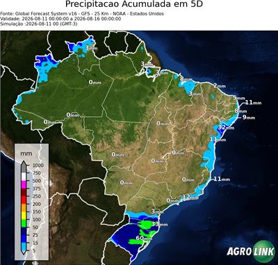 5 dias