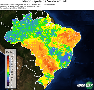24 horas