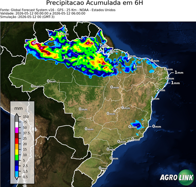 6 horas