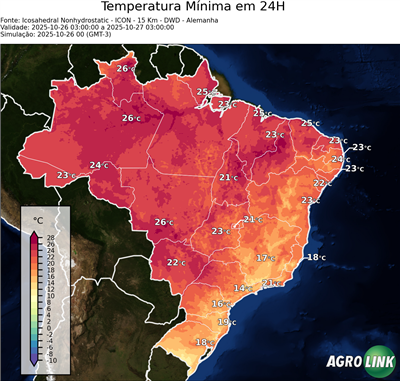 24 horas