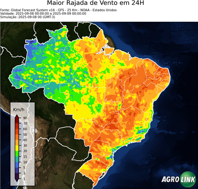24 horas