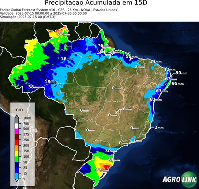 15 dias