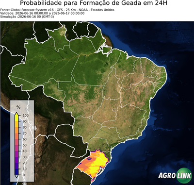 24 horas