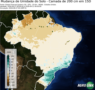 15 dias