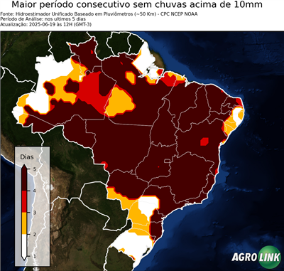 5 dias