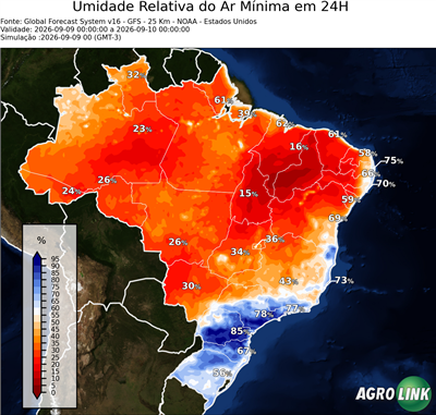 24 horas