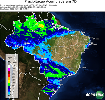 7 dias