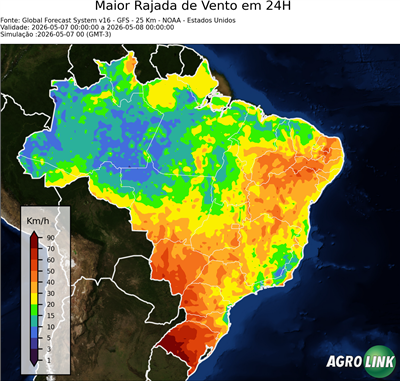 24 horas