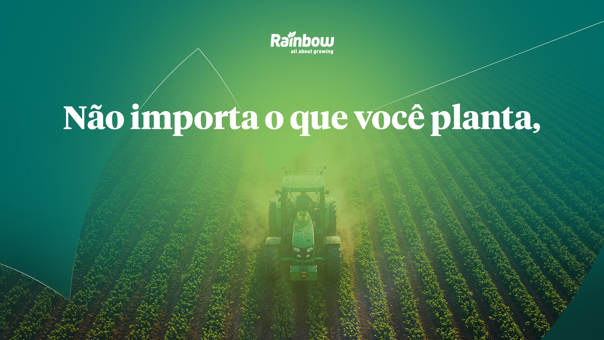 Publicidade