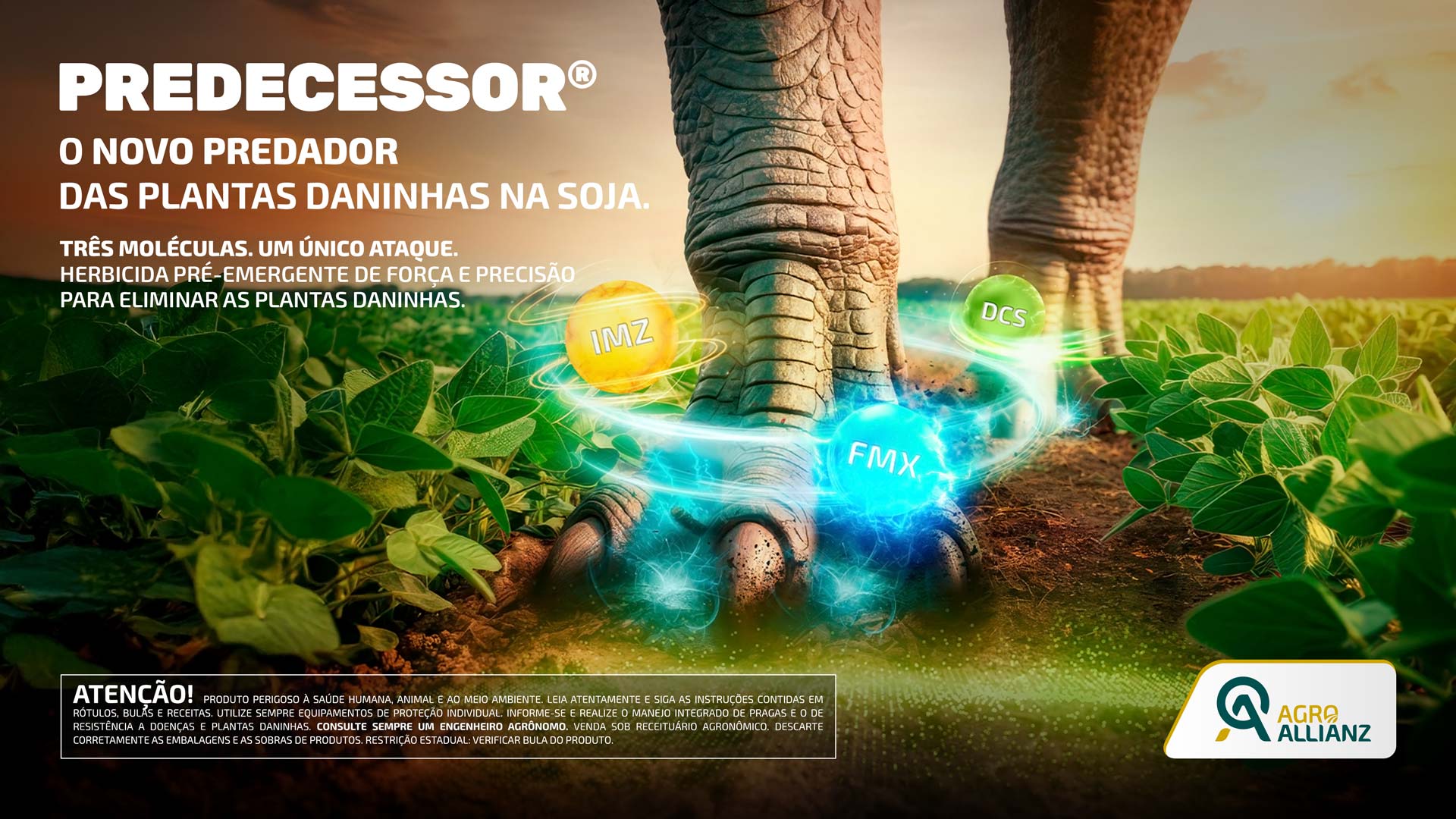 Publicidade