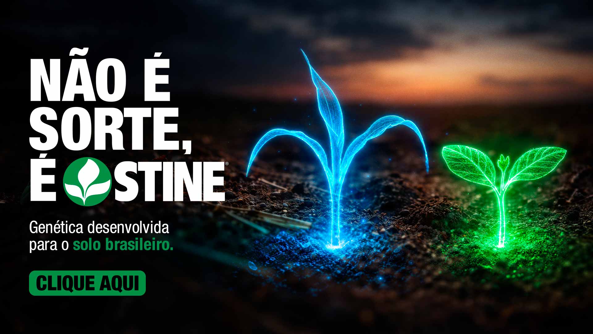 Publicidade