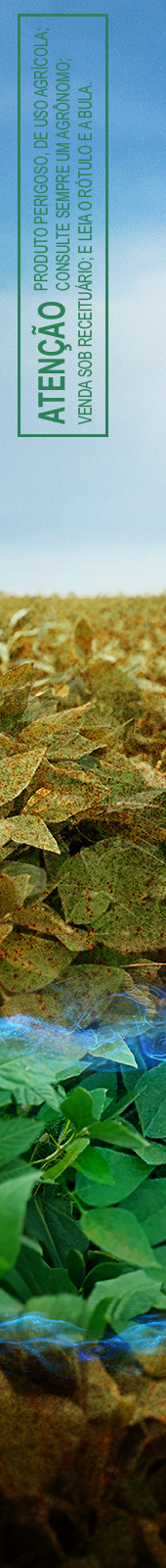 Envelope - Ihara - Seiv - 03/11/2025 - Peça Esq