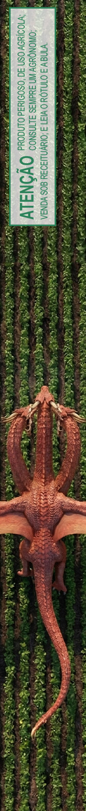 Envelope - Ihara - sugoy Soja - 16/12/2025 - Peça Esq