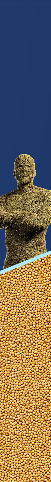 Envelope - sumitomo - 23/01/26 - Peça Esq