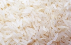 Notícias de Arroz