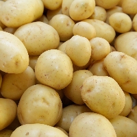 Batata