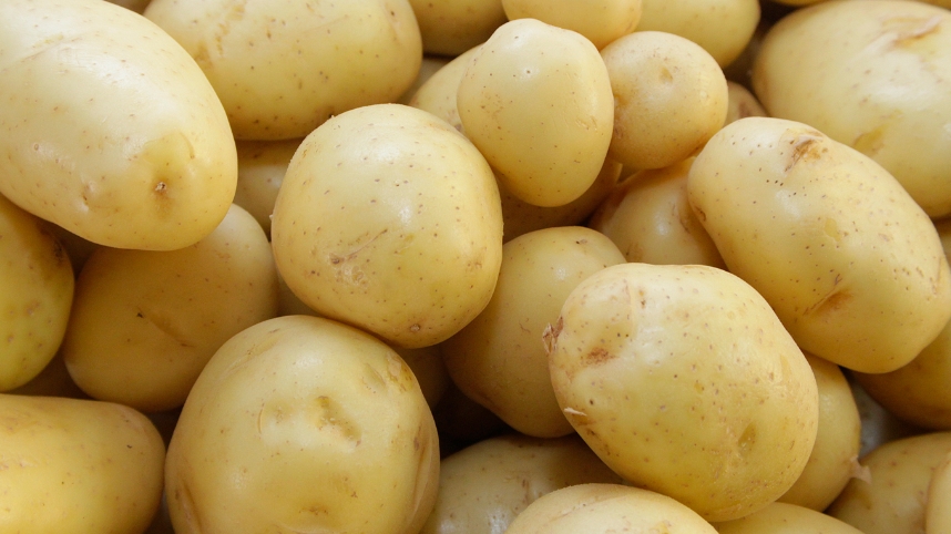 Batata