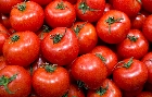 Notícias de tomate