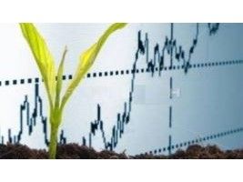 Cai obrigatoriedade do Proagro para financiamento de custeio acima de R$ 300 mil