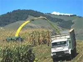Agroindústria canavieira paulista é tema da revista Pegada