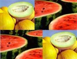 Exportações de frutas aos árabes crescem 41%