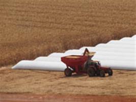 Produtor mato-grossense recorre a silo bolsa para armazenagem de grãos