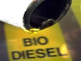 Mistura de biodiesel pode aumentar de 5% para 15%