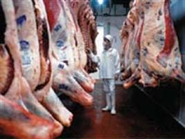 Exportações de Alta Floresta praticamente dobram e carne lidera