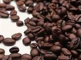 Café/CEPEA: Safra de arábica encerra com preços em queda